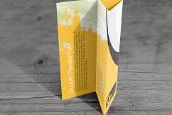 11×17 Double parallel Fold Brochure Mockups Product Image 4