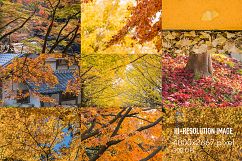 70+ Hi Res Japan Autumn Photos Pack Product Image 4