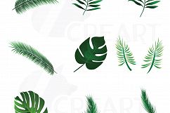 Summer leaf clip art pack, palm leaf collection. Eps, png, jpg, pdf, svg, vector illustrator &amp; corel files included, instant download Product Image 2