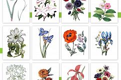 Entire Vintage Collection -Over 1000 Illustrations Product Image 3