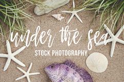 Under the Sea Stock Photography Product Image 1