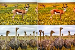 Africa Lr Presets Product Image 9