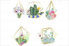 Hand Drawn Watercolor Terrarium Clipart Product Image 2