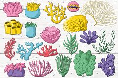 Coral Reef Product Image 2