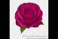 100 Luxury Rose Clip Arts, Wedding, Mother Day, Valentine Product Image 3