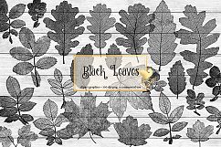 Black Leaf Clipart Product Image 1