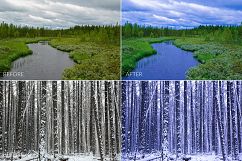 Taiga Lr Presets Product Image 5