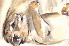 Lion Family - Watercolor Print + Clip Art Product Image 2