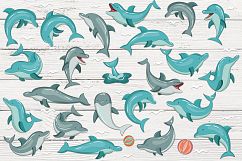 Dolphins Product Image 2