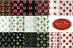 Poppies and wild plants Product Image 3