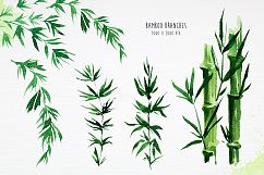 Bamboo. Watercolor illustrations. Product Image 2