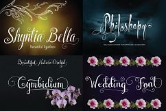 MEGA SALES 62 FONTS BUNDLE Product Image 3