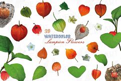 Watercolor Chinese Lantern clip art pack, Physalis alkekengi Product Image 1