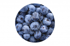 Geomask Product Image 4