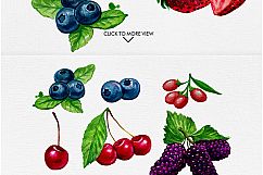 Watercolor Fruits Vol. 4 Product Image 15