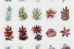 Wild Forest Watercolor Collection Product Image 3