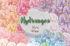 Ultimate Hydrangeas  Product Image 1