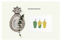 TROPICANA: tropical leaves &amp; patterns collection Product Image 5