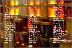 Honey Gradients Product Image 5