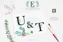 Eucalyptus. Watercolour clipart. Product Image 10