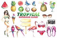 Tropical watercolor clipart Product Image 3