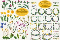 Plants of Scotland. Watercolor Product Image 1