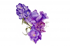 Hand Painted WATERCOLOR FLOWERS | Clip art | PNG/JPEG Product Image 3