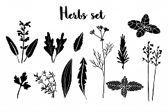 Herbs set Product Image 5