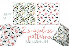 Eucalyptus watercolor clipart Product Image 4