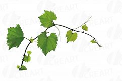 Grapes clip art watercolor wine grape, branch, flowers, leaf Product Image 10