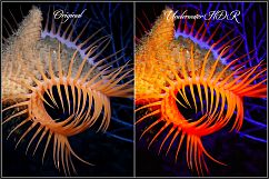 Dive Fix &amp; HDR LUTs Product Image 2