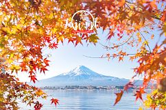 23 Fuji mt. &amp; Autumn season set (Discount from 19$) Product Image 2