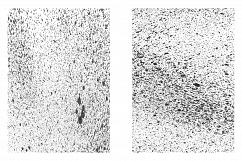 Subtle Paint Splatter Vol. 2 Product Image 21