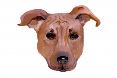 Hand Painted Watercolor Dogs | Clip Art | PNG/JPEG Product Image 7