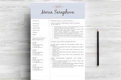 Professonal Resume Template Word Product Image 3