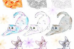 Cats Power Product Image 2