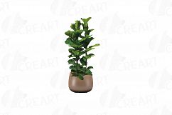 Leafy plants clip art collection, Watercolor plants in pot Product Image 10