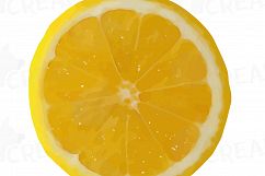 Watercolor lemons, branch and leaves clip art pack, watercolor lemon clip art, exotic fruit, png, pdf, jpg, svg, eps, vector files included. Product Image 8
