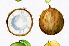 Watercolor tropical fruits clipart Product Image 2