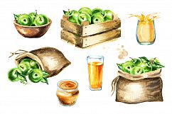 Green Apple. Watercolor collection Product Image 5