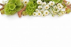 Styled Photos Bundle with Molucella Product Image 3