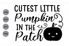 Cutest Pumpkin In The Patch SVG, Thanksgiving SVG, Pumpkin.  Product Image 2