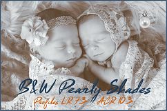 B&amp;W Pearly Shades Profiles LR 7.3 ACR 10.3 Product Image 1