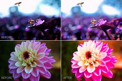 Lilac Lr Presets Product Image 8