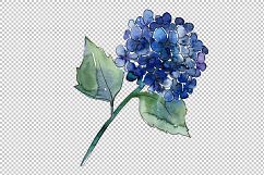 Hydrangea purple and blue PNG watercolor set Product Image 4