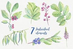 Watercolor leaves, berries, flowers Product Image 3