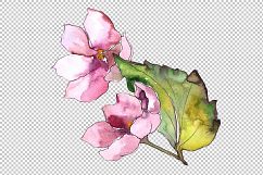 Pink and blue gardenia flowers PNG watercolor set   Product Image 3
