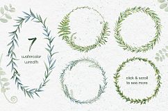 Watercolor herbs. Clipart collection Product Image 6