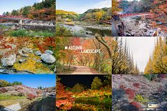 70+ Hi Res Japan Autumn Photos Pack Product Image 3