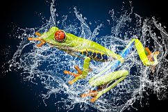 Water Splash Photoshop Action Product Image 4